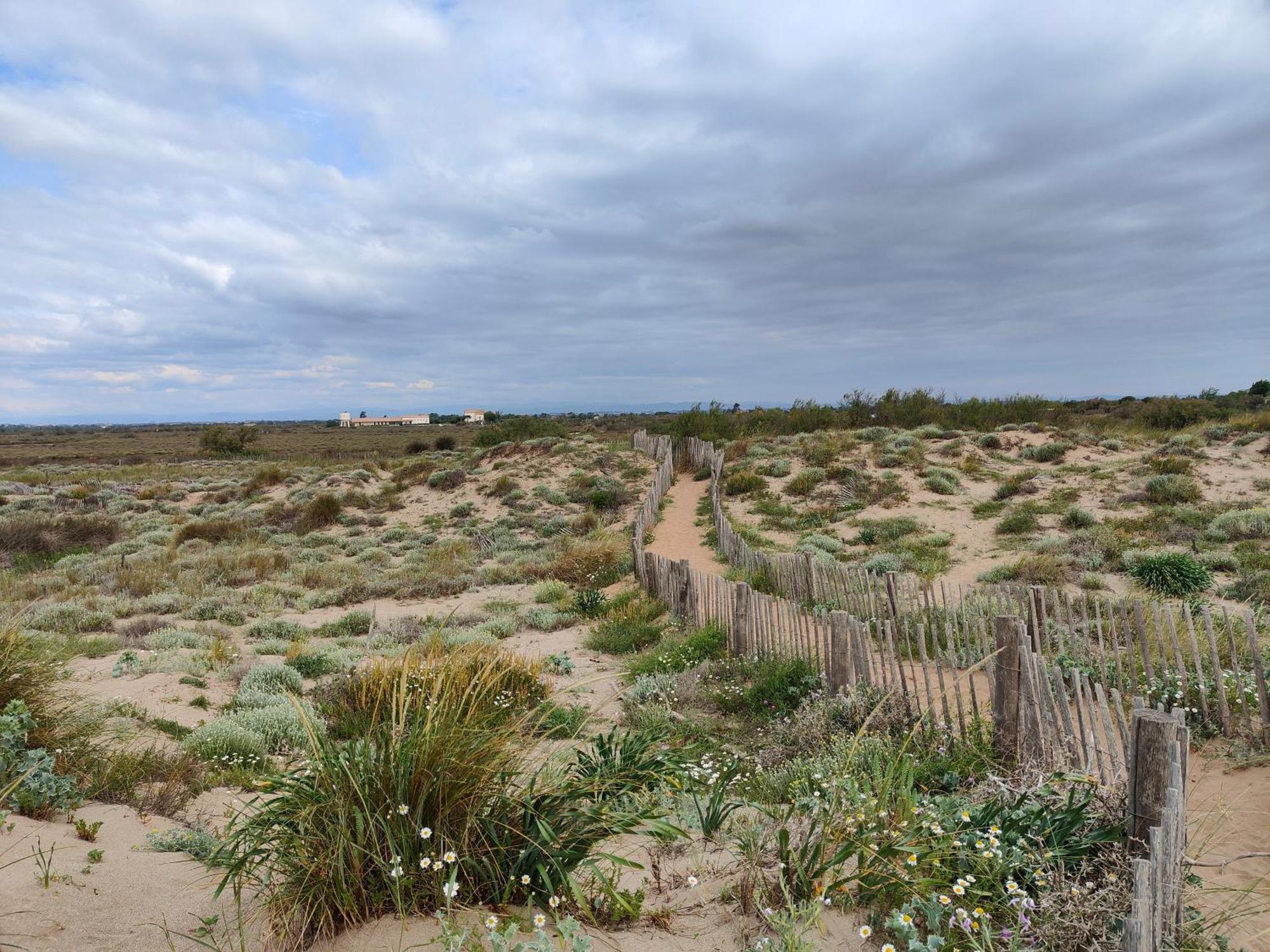 Mobile-Home 6-8 Personnes - Camping " Les Sables Du Midi" ヴァンドル・プラージュ エクステリア 写真